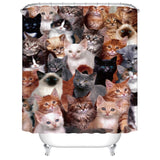 Lovely Bird Shower Curtain