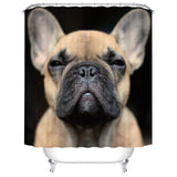 Lovely Bird Shower Curtain